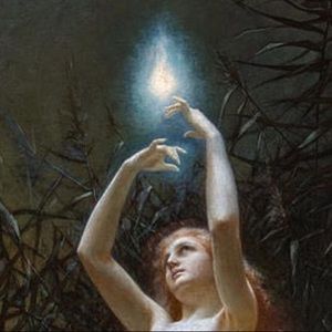 Meet your Posher, Victoria